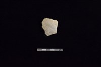 藏品(陶片)的圖片